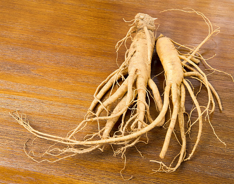 Asian Ginseng