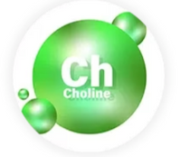 Choline