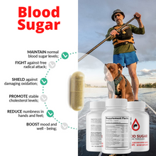Load image into Gallery viewer, Blood Sugar Breakthrough Blood Sugar Support Complex 4 Bottles 240 Capsules
